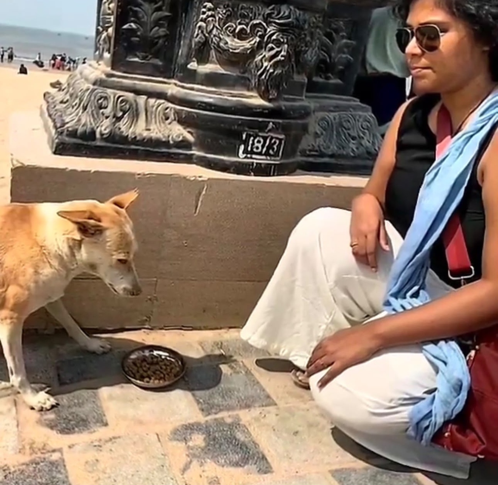 A volunteer feeding a stray dog near the beach