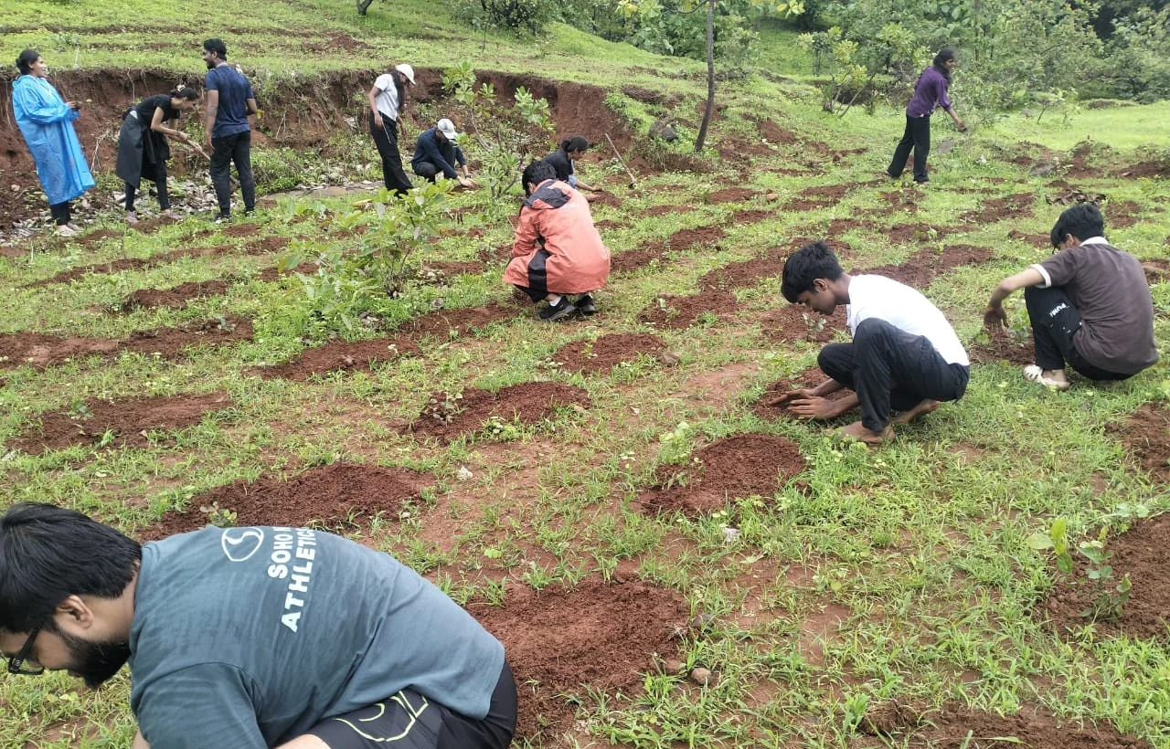 Volunteers planting saplings together