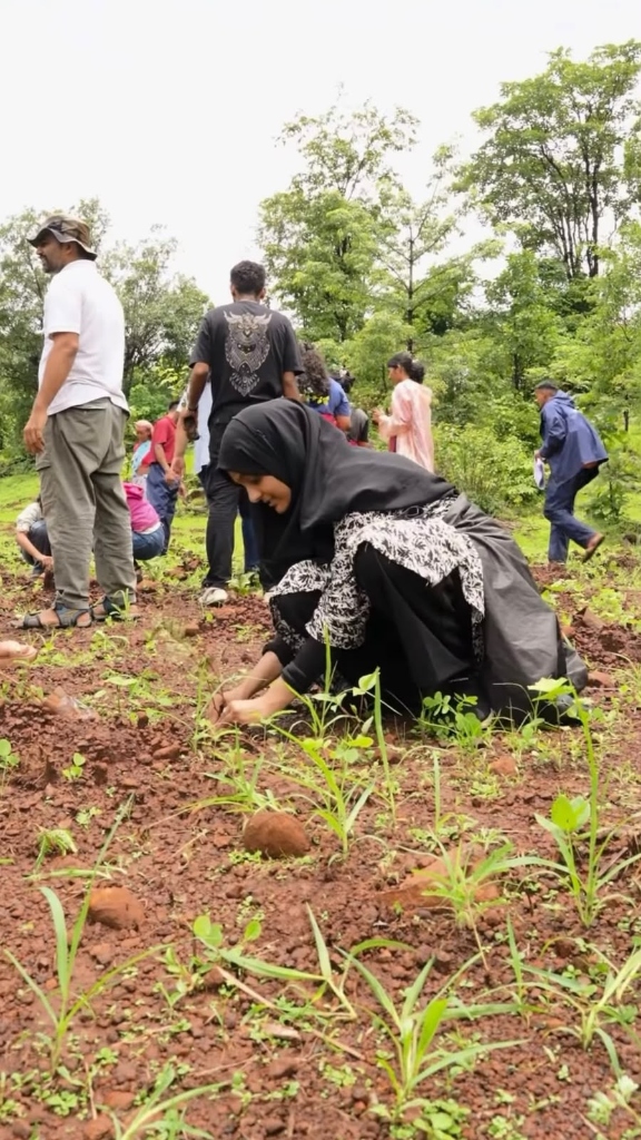 A volunteer kneeling to plant a sapling on a hillside