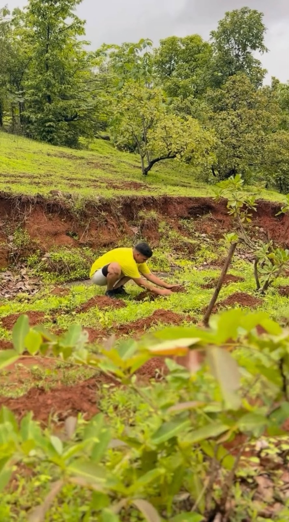 A volunteer in a yellow shirt planting on a green hillside